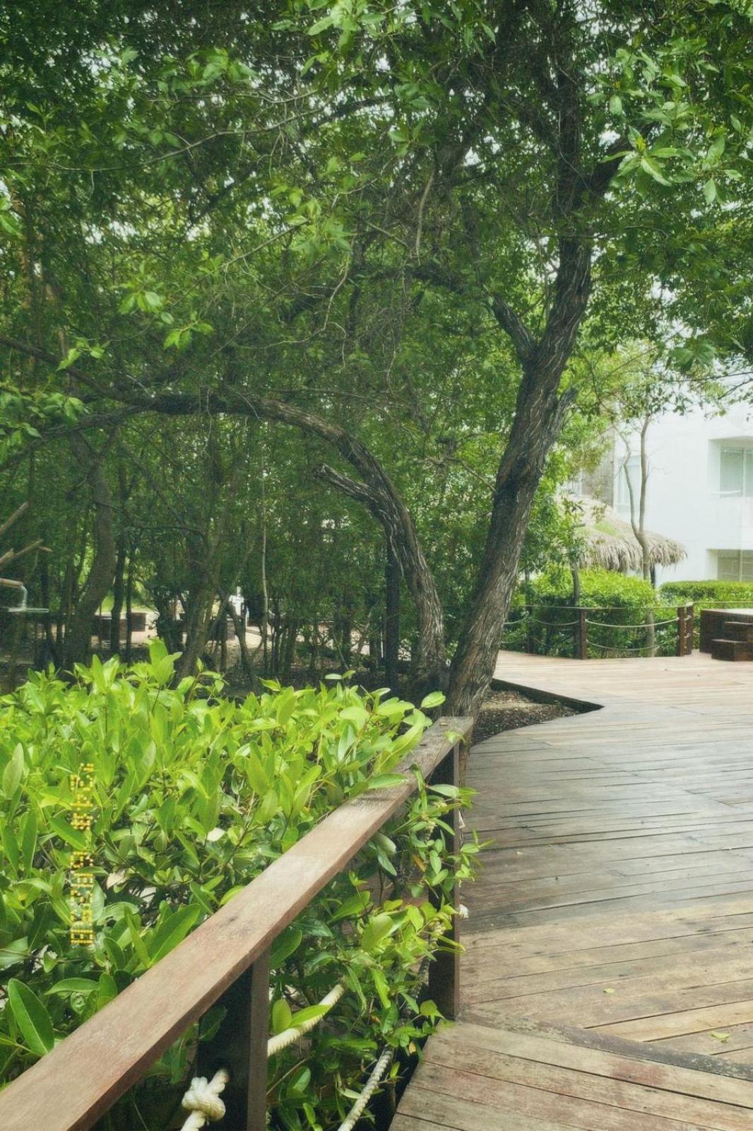 Santo Manglar Cartagena Life Wellness Spa Hotel Exterior foto